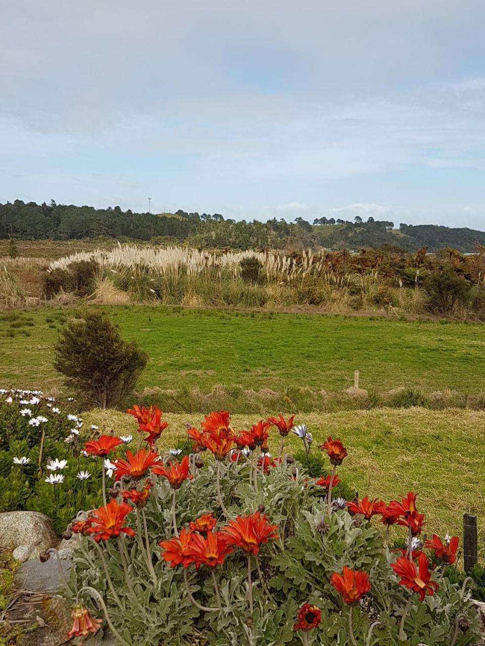 The Little Farm Coromandel Hotel Exterior photo