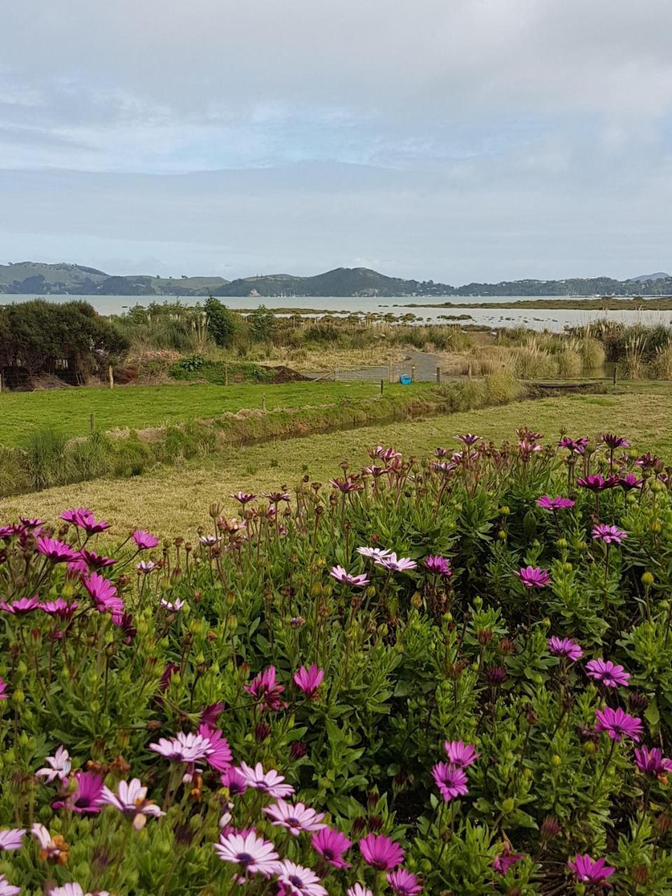 The Little Farm Coromandel Hotel Exterior photo